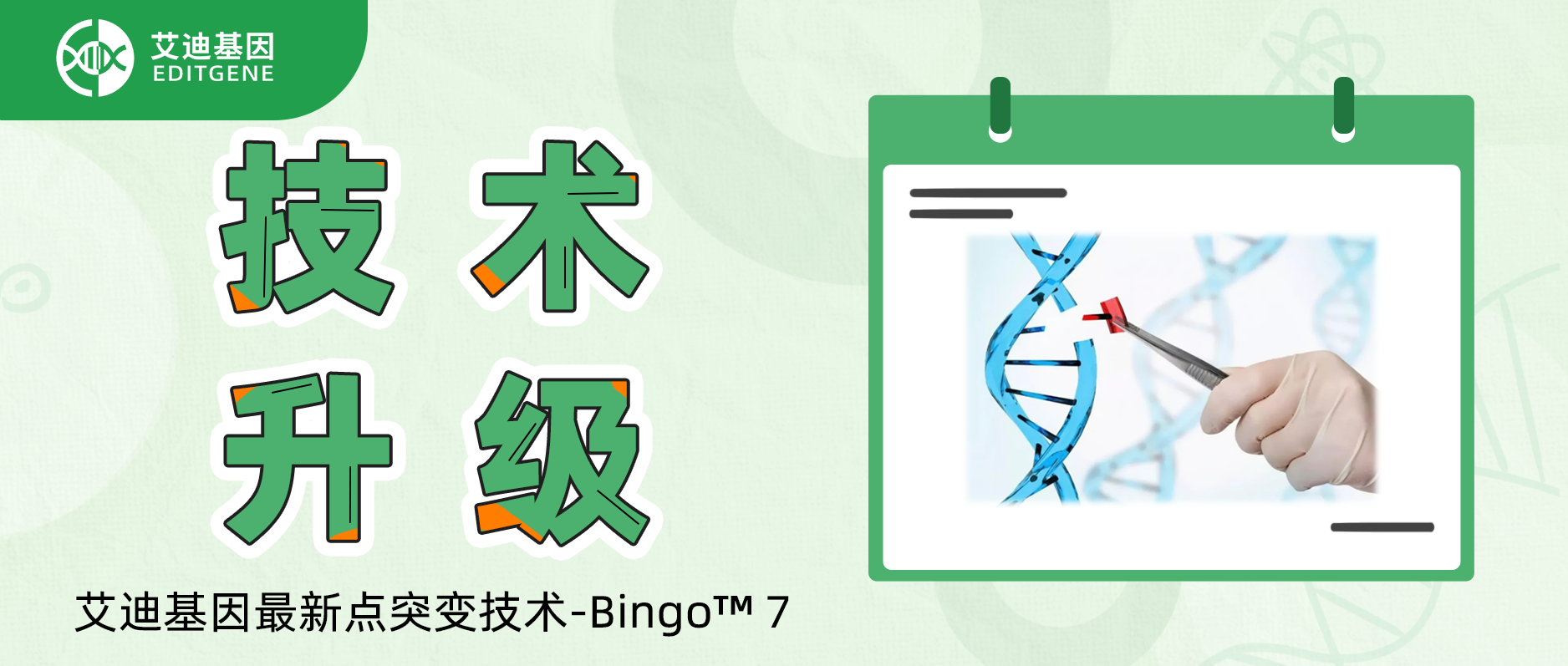 基因编辑精准与效率双向飙升！球盟会生物基因重磅推出升级基因定点突变技术-Bingo™ 7!
